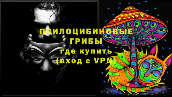 дживик Заволжск