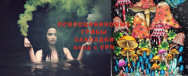дурь Заволжье