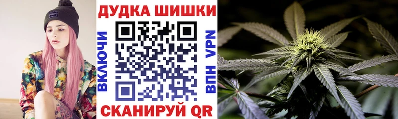 где продают Краснообск Канабис семена